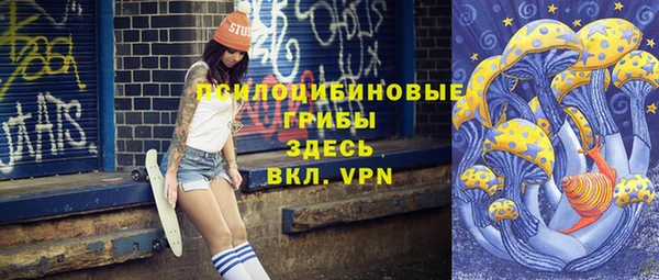 стаф Богородицк