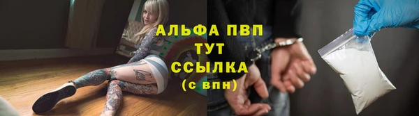 стаф Богородицк