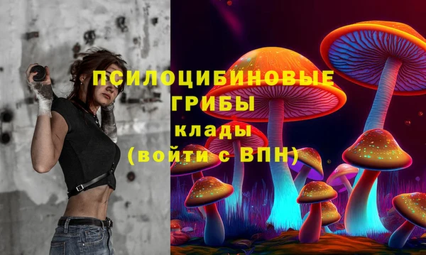 стаф Богородицк