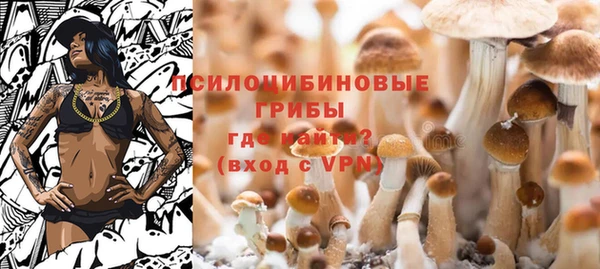 прущая мука Арсеньев