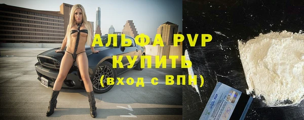 стаф Богородицк