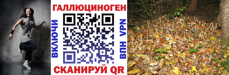 Псилоцибиновые грибы мухоморы  KRAKEN сайт  Красный Кут 
